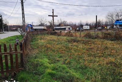 Teren de 2051 mp, în Alimpești - 1