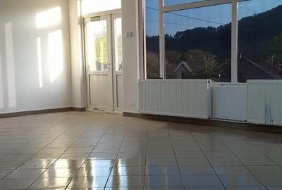 Spațiu comercial, de 117 mp, în Coman - 9