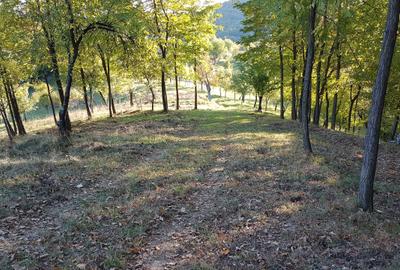Teren livadă cu panoramă superbă Dealul Malului pentru casă sau cabană - 21