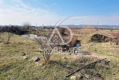 Vanzare teren comercial industrial situat pe strada Narciselor , Targu-Jiu - 8