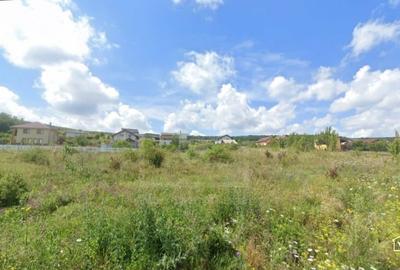 Teren Construcții intravilan de 904 mp, în Chinteni - 3