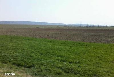 Spațiu comercial, în Lupoaia - 5