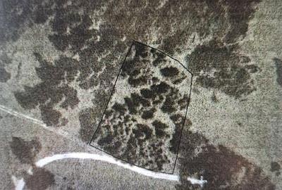 Teren de 1500 mp, în Poieni - 1