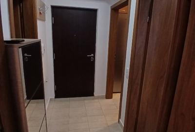 Apartament cu 2 camere decomandat, mobilat în Nufărul - 10