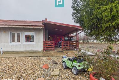 Casă cu 4 camere în Sintea Mică - 1