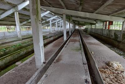 Vand Fost Complex de porci - 7