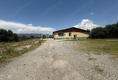 Vanzare teren intravilan 2,5 ha - infrastructura industriala ?i hala func?ionala - 6