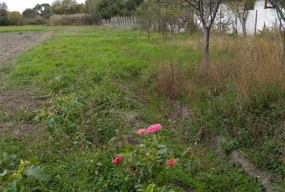Reco Casa in Cefa  Centrala la 20km de Oradea - 6