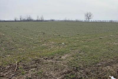 Teren în Central - 3