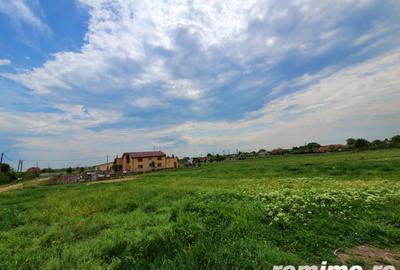 Domeniu, 9,5 ha, 25 KM de Timisoara - 17