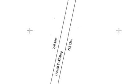 Teren agricol extravilan de 4700 mp, în Gruiu - 2