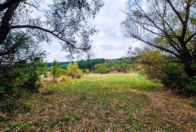 Teren de 14000 mp, în Drăganu - 1