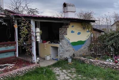 Vând casă  primitoare,direct proprietar în Vințu de Jos - 3