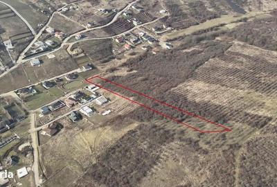 Teren de 7900 mp, în Iorga