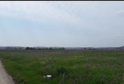 Teren Construcții intravilan de 12500 mp, în Nord - 1