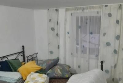 Casa in dealul Viilor Ineu - 4