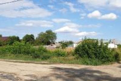 Eren intravilan 1.013 mp, IALOMITA, COSERENI - 5