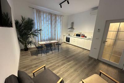 Casa Lipovei transformata in SAD - 24