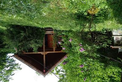 Casă cu 2 camere în Central - 10