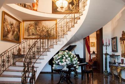 REV2000904 Vila spectaculoasa - zona Cernica - 15