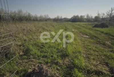 Teren Construcții intravilan de 6835 mp, în Rucăr - 1