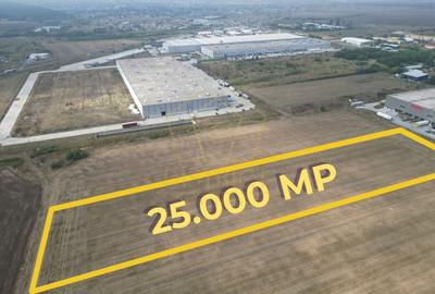 Teren Construcții extravilan de 25000 mp, în Dumbrăvița - 2