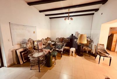 Spațiu comercial, de 360 mp, în Valea Rosie - 12