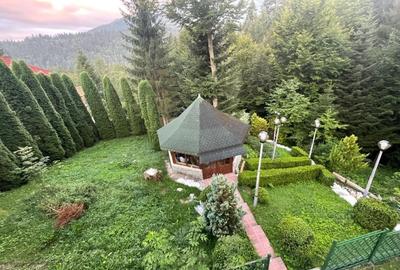 Casă individuală cu 5 camere cu Teren 1500 Mp în Cumpătu - 13