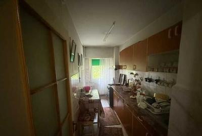 LACUL TEI, LANGA COMPLEXUL DOMINO LACUL TEI, LANGA COMPLEXUL DOMINO - 2