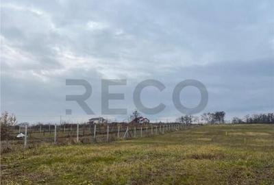 RECO Teren intravilan cu PUZ, la 4 minute de oras ,720 mp,Pa - 1