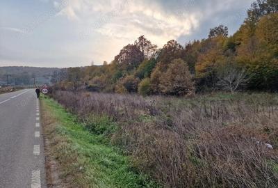 Teren de 1717 mp, în Mărgineni - 6