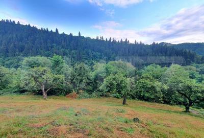 Teren intravilan, 31 ari, Ilva Mica, zona montana - 1