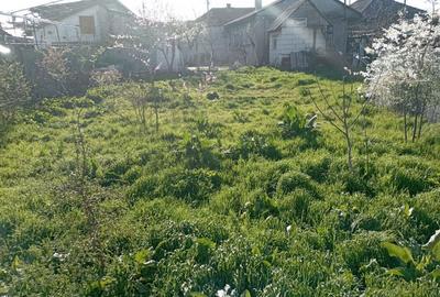 Se vinde casa cu teren in Constan?a Palazu Mare - 3