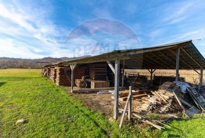 Spațiu industrial, de 650 mp, în Ribița - 11