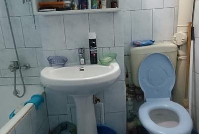 Pantelimon, Delfinului Pantelimon, Delfinului - 8