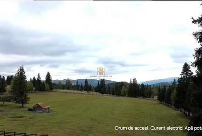 Teren 2804 mp, la munte! In Bucovina Fundu Moldovei! - 16