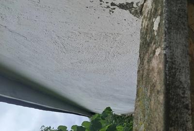 Casă cu 3 camere în Mașloc - 2