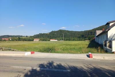 Teren de 3465 mp, în Acriș
