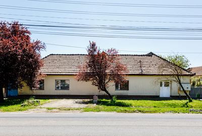 De vanzare proprietate pretabila cazare/locuire/pensiune rurala,  Carani, Timis - 9