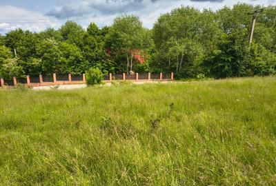 Teren 4.980 mp in Stubeiu, jud. Prahova - 3