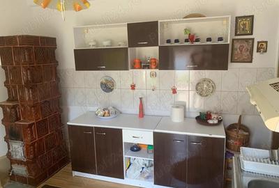 Casa de vanzare Mehadia CS