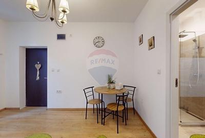 Apartament cu 1 camere nedecomandat, mobilat în Centrul Istoric - 7