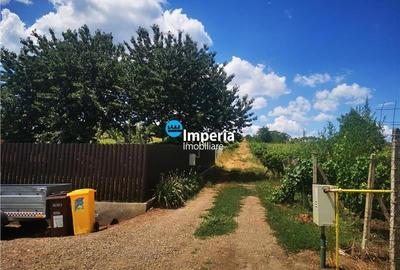 Teren intravilan de vanzare in Iasi, zona Tomesti Deal - 3