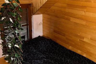 Casa de vacanta sau permanent utilata 90mp - 4