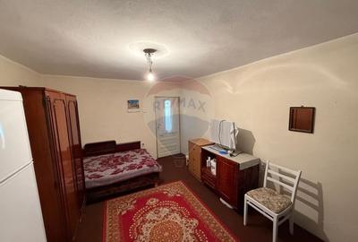 Casa de vanzare Almaj , sat Bogea  4505 mp teren- Negociabil - 8