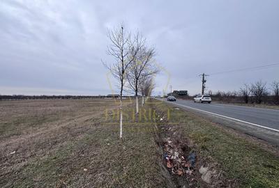 Teren agricol extravilan de 10000 mp, în Vest - 4