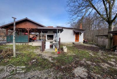 Casa de vacanta, teren 2500 mp, sat. Casoaia - 7