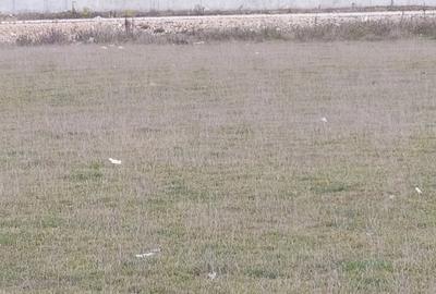 Spațiu comercial, în Bartolomeu - 1