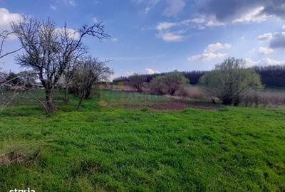 Spațiu comercial, în Buturugeni - 10