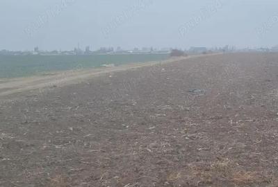 Teren de 20000 mp, în Valea Rumâneștilor - 8